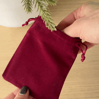 Luxe Velvet Gift Bag - Arlo and Co
