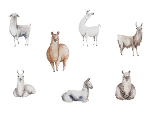 Llama Love Decal Set - Arlo and Co