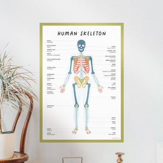 Skeleton Wall Decal - Arlo & Co