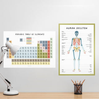 Skeleton Wall Decal - Arlo & Co