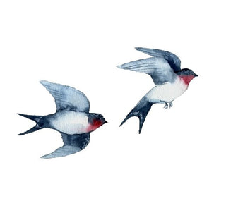 Bird Decal Set - Arlo and Co