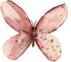 Large Butterfly Wall Decal - Arlo and Co