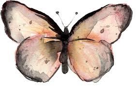 Large Butterfly Wall Decal - Arlo and Co