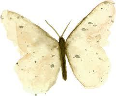 Large Butterfly Wall Decal - Arlo and Co