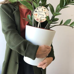 Love Grows Here' Planter Stick - Arlo and Co