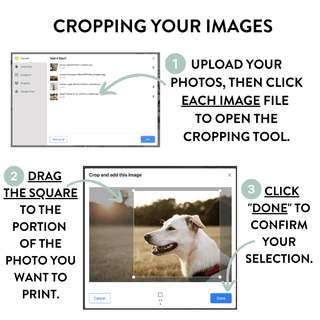 Sample Decal Set - Arlo & Co