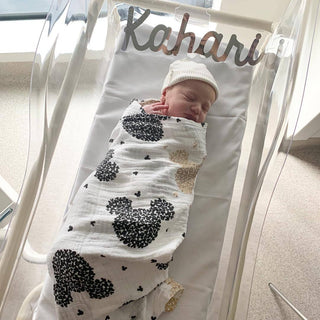 Silver Mirror Name Plaque - 4 Fonts, 3 Sizes - Arlo and Co