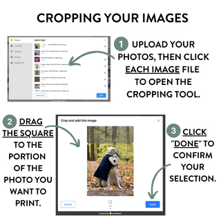 Square Photo Decal - XL 46cm - Arlo & Co